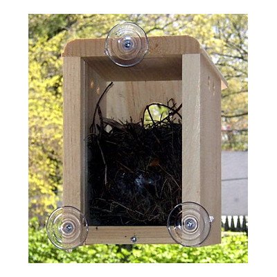 Coveside Birds - HousingWindow Nest Box