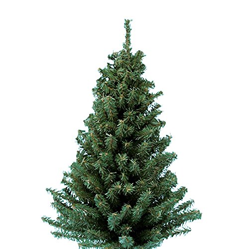 Kurt Adler TR2044 18