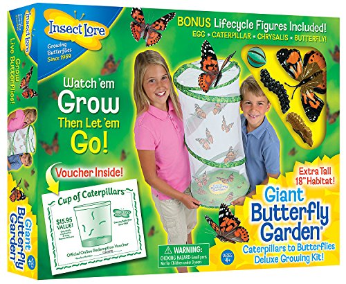 Insect Lore Giant Butterfly Kit: Deluxe 18