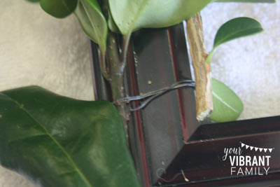 attaching-leaves-to-the-frame--WEB